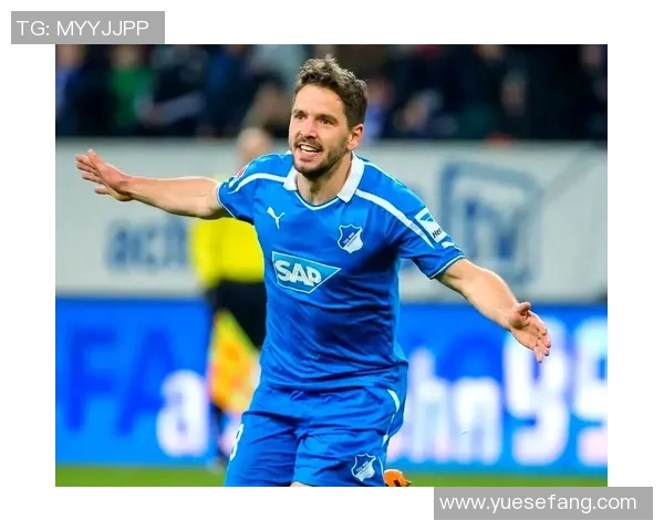 霍芬海与弗赖堡激战正酣谁能在德甲赛场上笑到最后