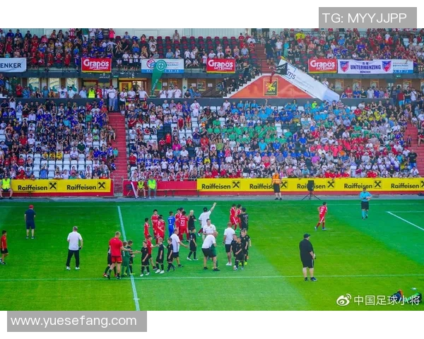 巴西与奥地利精彩对决视频直播全程回放及精彩瞬间分析