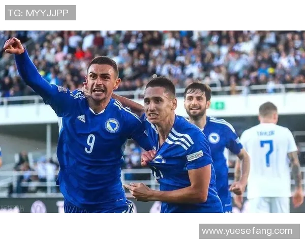 波黑对阵芬兰精彩赛事视频回顾与分析