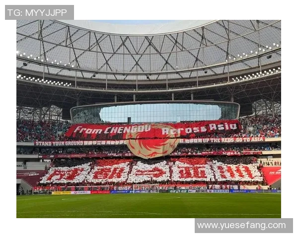 成都足球队团队协作的力量与魅力解析助力球队崛起之路MBA