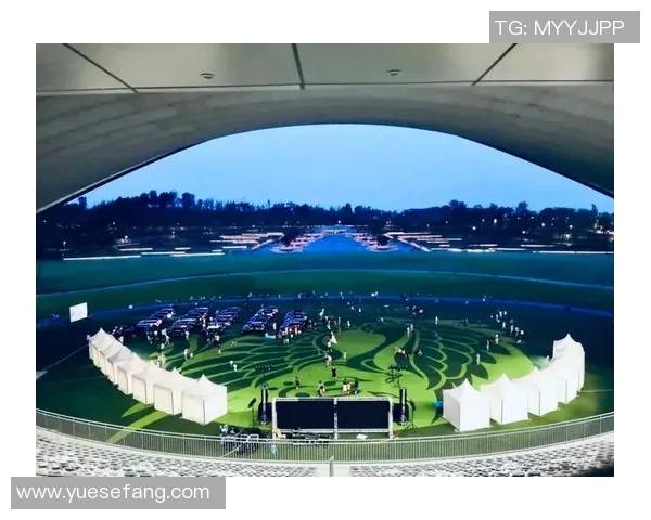 成都极限运动队状态全面解析与对比分析MBA