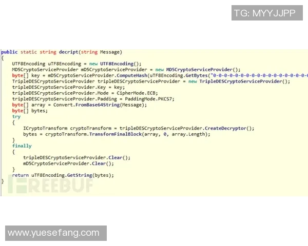 巴西与德国队标的历史渊源与文化象征探讨