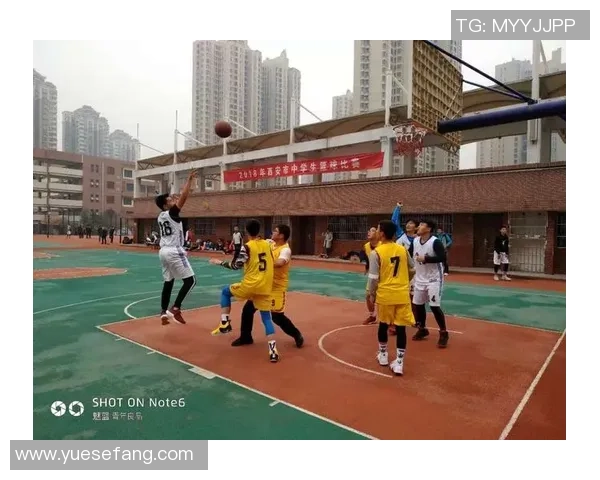 西安篮球队的攻防策略分析与比赛表现评估