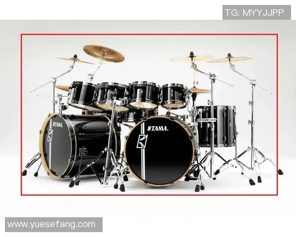 重庆飞盘队快攻革新之路探索与战术解析