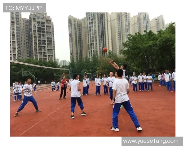 成都排球队的拼搏之路：一段关于梦想与坚持的排球纪实故事