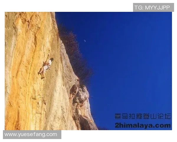 西安攀岩队在城市马拉松中的比赛经验与表现深度解析