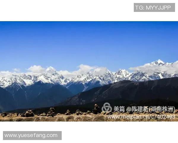 陈强谈极限运动的挑战与成长回顾他的精彩人生旅程